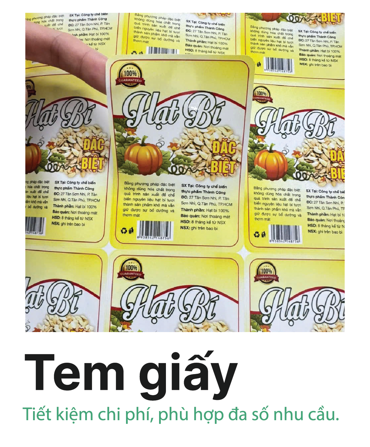 Tem giấy